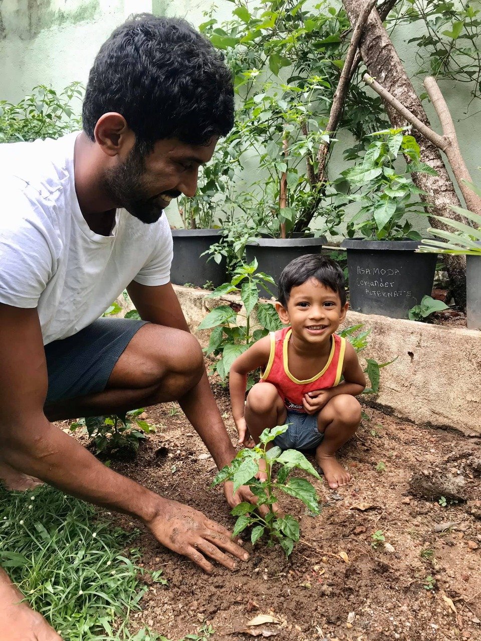 Former Sri Lankan Full Back Rizah Mubarak posted the image on his Facebook encouraging everyone to engage in Home Gardening. 