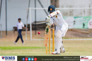 school cricket