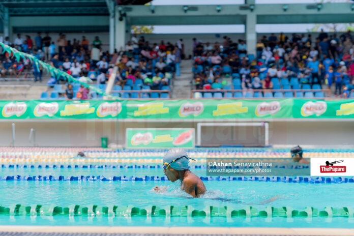 Novices Aquatic Championships 2024 (Swimming)