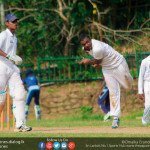 Under 19 Cricket