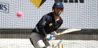 Australia v New Zealand: Colour-deficient, but not blind to possibilities of night Tests Colour-deficient: Victorian captain Matthew Wade tries to focus on the pink ball Photo: Pat Scala