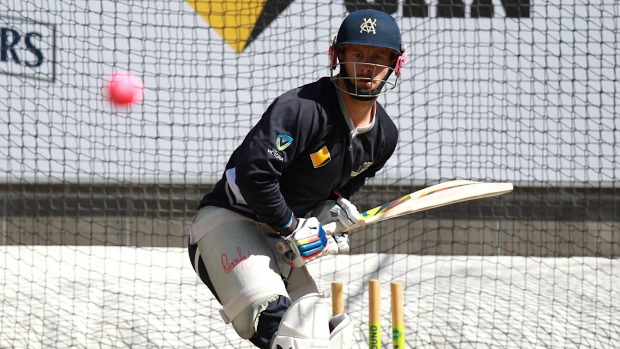 Colour-deficient: Victorian captain Matthew Wade tries to focus on the pink ball Photo: Pat Scala