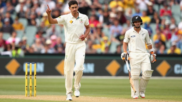 Mitchell Starc shows his discomfort after taking the wicket of Mitchell Santner of New Zealand. Photo: Getty Images