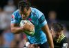 Bargain buys impressing in Super Rugby opening round