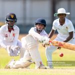 cricket