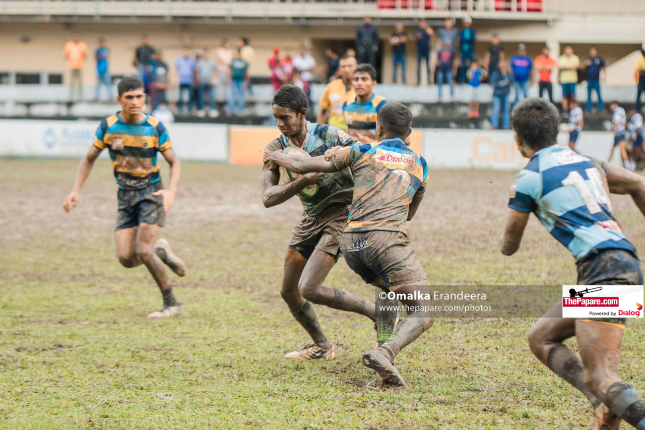 papare live rugby 2022