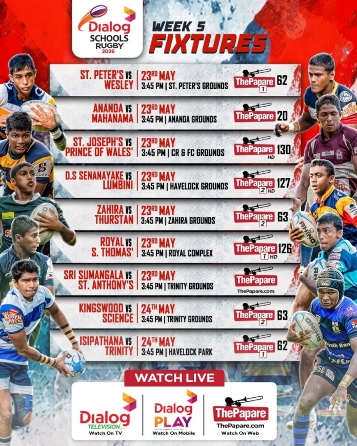 Dialog School's Rugby League Dialog School's Rugby League