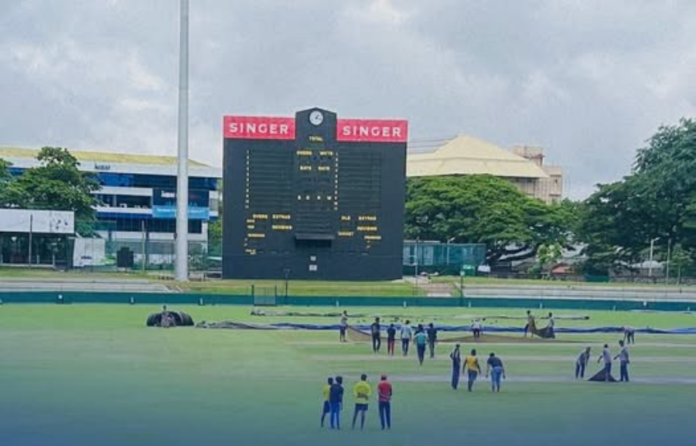 Cricket Cricket