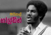 Video – කොඳුරන මරණය – Michael Holding