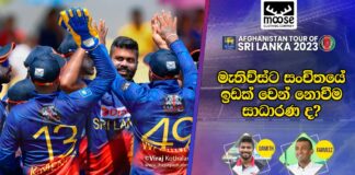 Post Series - Moose Cricket Chat