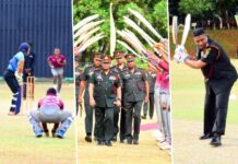 ARCHERS TURF WICKET CRICKET GROUND