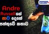 Video – SportsWatch | ලොවම කැළඹූ Formula රිය අනතුර SportsWatch