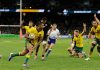Against all odds: Wallabies restore pride against All Blacks