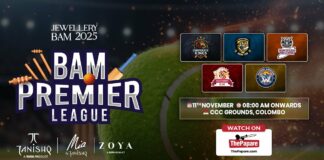 REPLAY – Bam Premier League 2025 – Corporate Softball Cricket Tournament Bam Premier League 2025