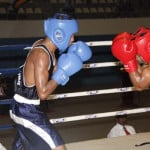Clifford Cup Boxing Championships - 2016