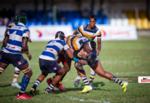 Peterites produce five-star display to down Joes Rugby