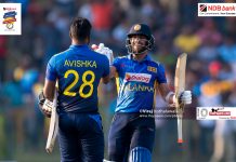 Mendis, Fernando and bowlers give Sri Lanka series win