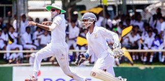 School cricket