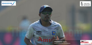 Cricket World Cup 2023