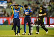 Invincible Warner completes Sri Lanka drubbing