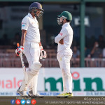 Cricketry - It's still anybody's game at P. Sara