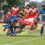 Dialog Rugby