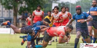 Dialog Rugby