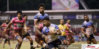 Dialog Rugby