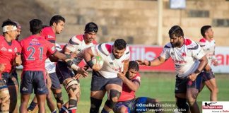 Dialog Rugby