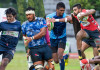 Dialog Rugby League – Preview Week 4 Dialog rugby week 4