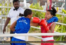 NSF 2025 Boxing; Western Province pugilists punch hard to seal their dominance National Sports Festival 2025