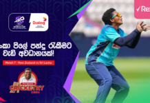 WATCH – පළමු තරගය පරාජය වූ ශ්රී ලංකාව සහ නවසීලන්තය අතර තීරණාත්මක හමුව – #NZvSL Cricketry Pre Match Cricketry