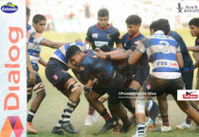 Joes Pull Off Miracle Comeback to Break Kingswood Hearts in Thrilling Pre-Quarterfinal