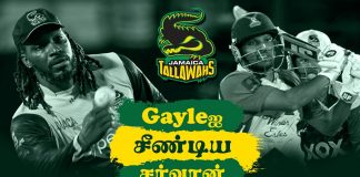 International Cricket