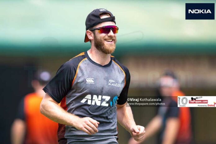 Kane Williamson, Gary Stead to skip India tour