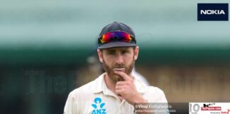 Williamson at the top of the Test charts for New Zealand