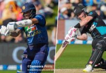 Seifert's 88 helps New Zealand ace chase and clinch series