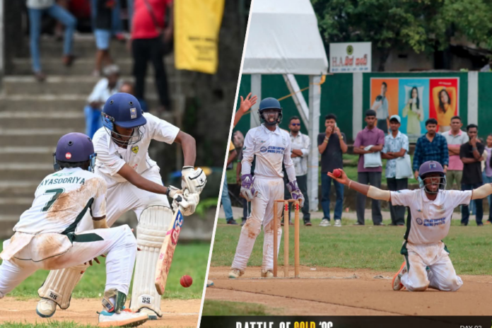 School Cricket School Cricket