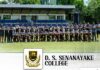 D.S. Senanayake College Rugby: A Rising Force Ready to Roar in 2025 D.S. Senanayake College Preview