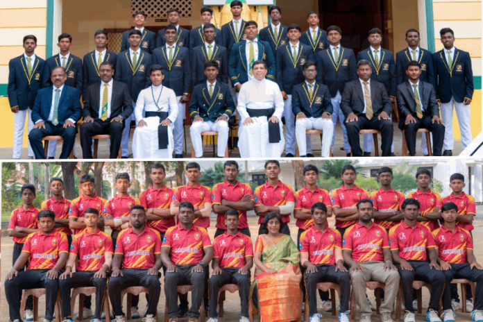 school cricket school cricket