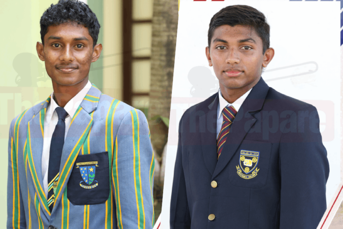 School Cricket School Cricket