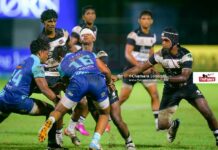 Photos – Lions vs. Colombo Aces – NEXT XV Rugby League 2026 Lions vs. Colombo Aces - NEXT XV Rugby League 2026
