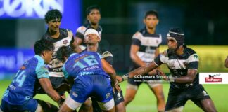 Photos – Lions vs. Colombo Aces – NEXT XV Rugby League 2026 Lions vs. Colombo Aces - NEXT XV Rugby League 2026