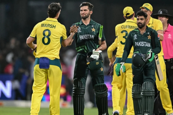 Cricket Cricket
