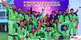 Professionals' Cricket League 2023