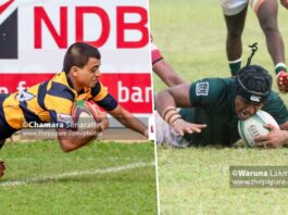 Dialog School Rugby 2022 Roundup