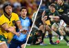 Springboks නවසීලන්තයට වැඩපෙන්වද්දී Wallabies නැවතත් ජය මඟට