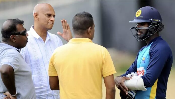 New Selection Committee