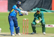 Using Visual skills to become a better batsman 