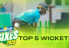 WATCH – Top 5 Wickets of the Tournament | Lemonade Sixes 2026 Lemonade Sixes 2026